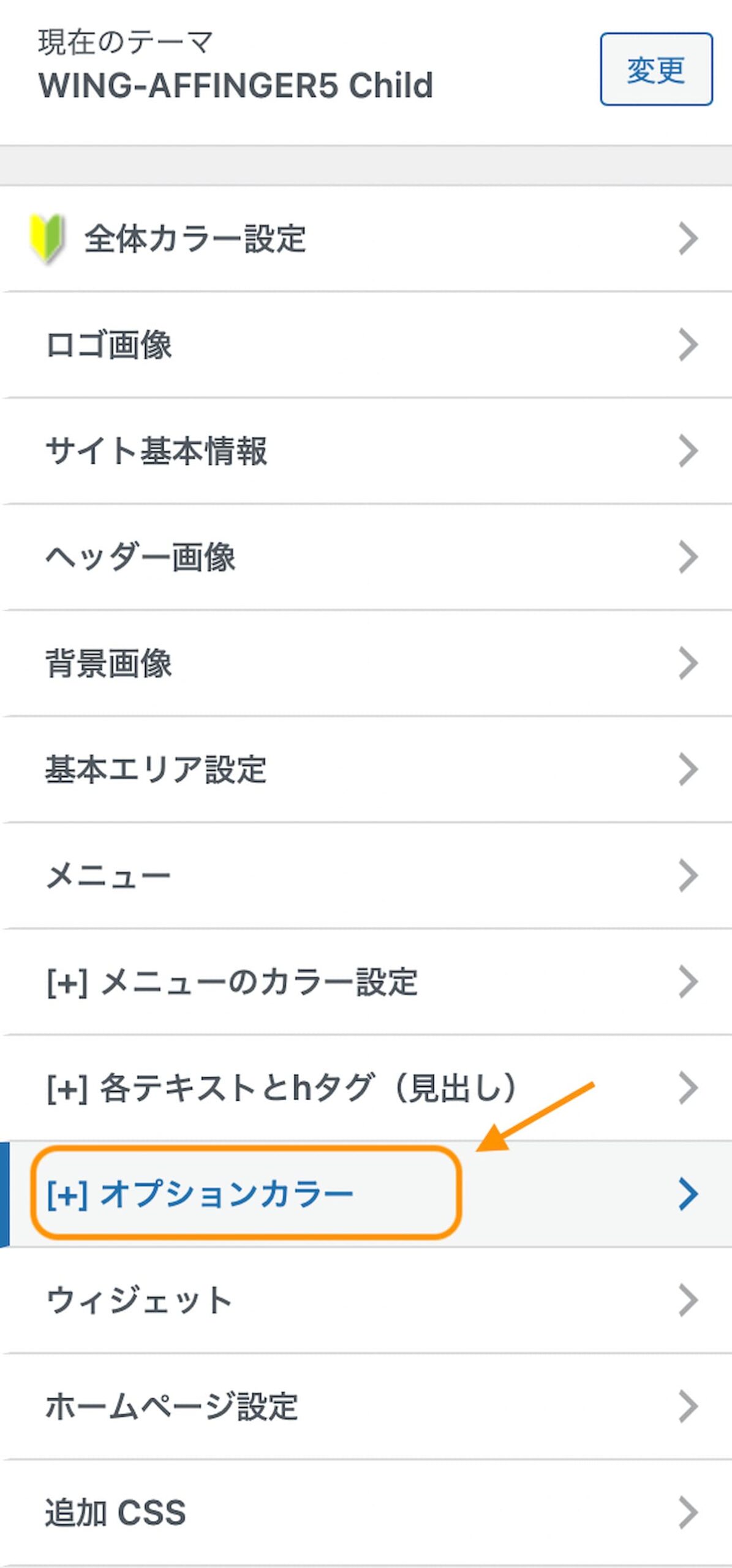 オプションカラー選択