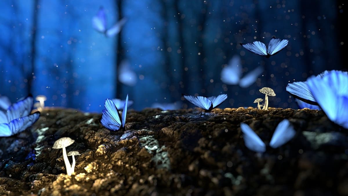 fantasy-butterfly
