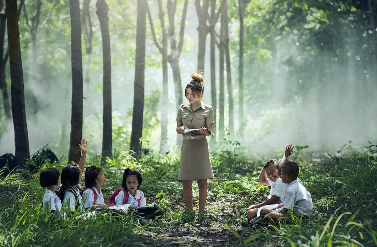 learning-in-theforest
